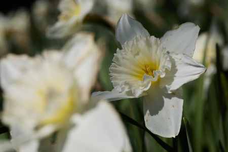 Image 67